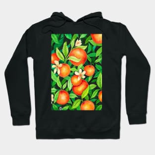 Orange branch watercolor Hoodie